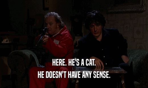 HERE. HE'S A CAT. HE DOESN'T HAVE ANY SENSE. 