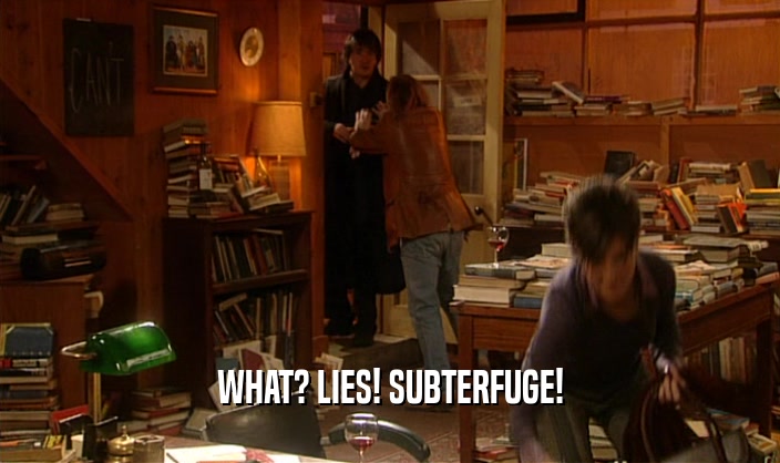 WHAT? LIES! SUBTERFUGE!  