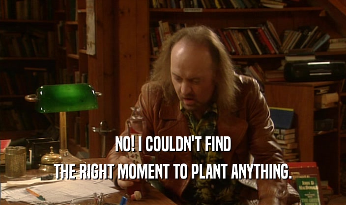 NO! I COULDN'T FIND THE RIGHT MOMENT TO PLANT ANYTHING. 