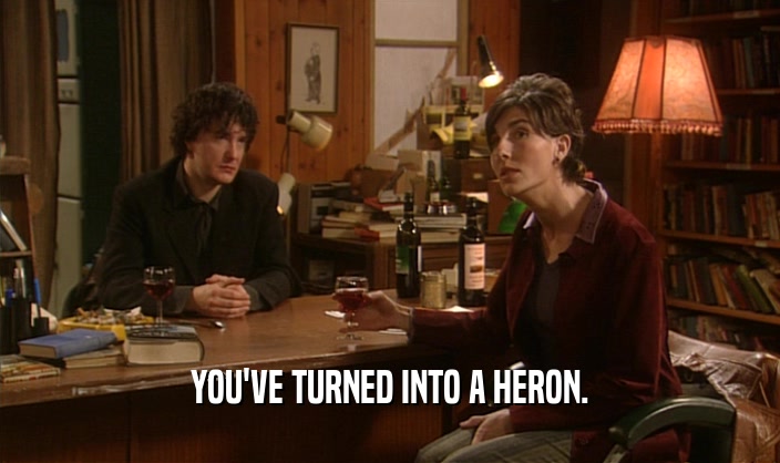 YOU'VE TURNED INTO A HERON.  