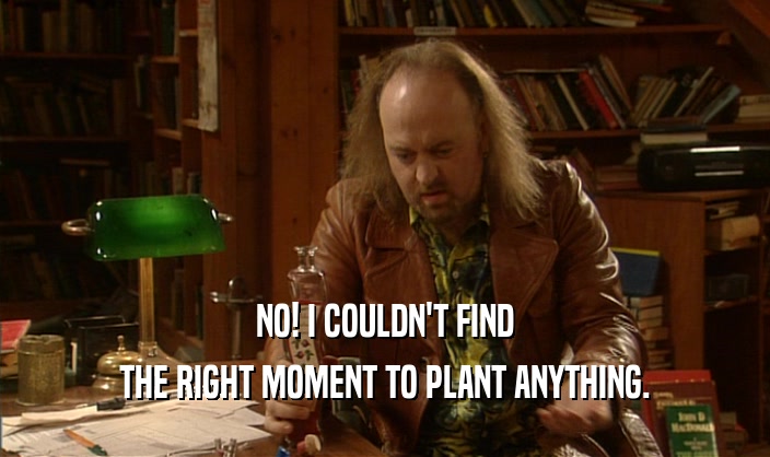NO! I COULDN'T FIND THE RIGHT MOMENT TO PLANT ANYTHING. 
