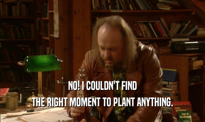 NO! I COULDN'T FIND THE RIGHT MOMENT TO PLANT ANYTHING. 
