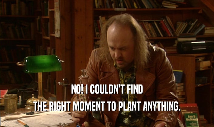 NO! I COULDN'T FIND THE RIGHT MOMENT TO PLANT ANYTHING. 