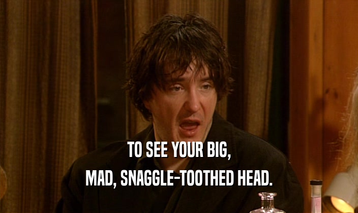 TO SEE YOUR BIG,
 MAD, SNAGGLE-TOOTHED HEAD.
 