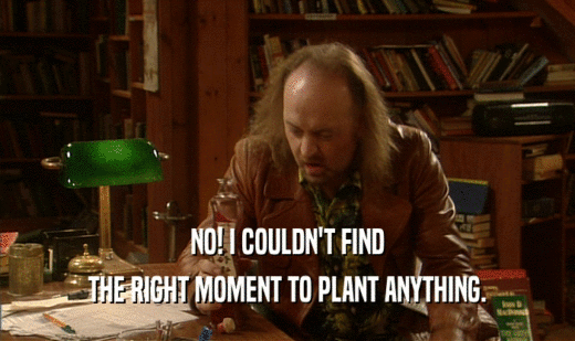 NO! I COULDN'T FIND
 THE RIGHT MOMENT TO PLANT ANYTHING.
 