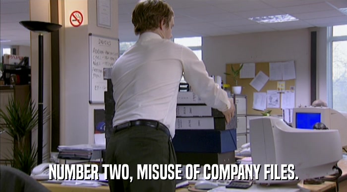 NUMBER TWO, MISUSE OF COMPANY FILES.  