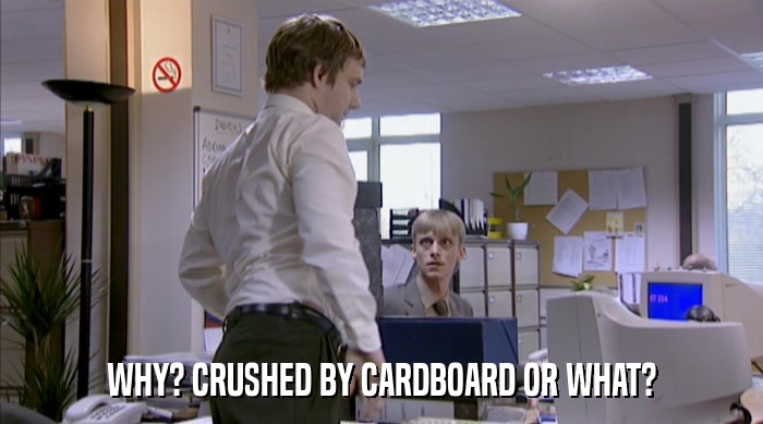 WHY? CRUSHED BY CARDBOARD OR WHAT?  