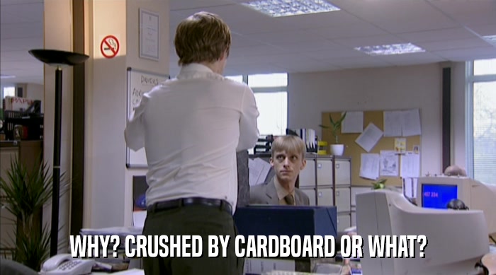 WHY? CRUSHED BY CARDBOARD OR WHAT?  