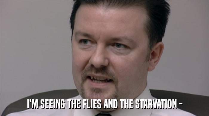 I'M SEEING THE FLIES AND THE STARVATION -  