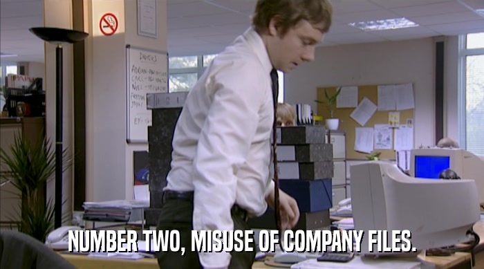 NUMBER TWO, MISUSE OF COMPANY FILES.  