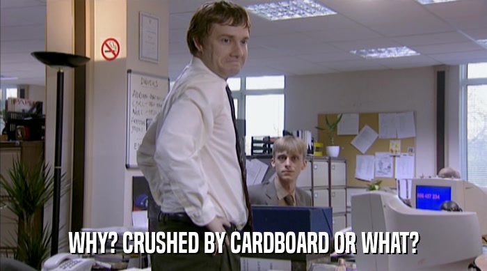 WHY? CRUSHED BY CARDBOARD OR WHAT?  