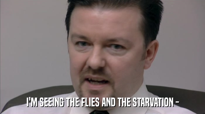 I'M SEEING THE FLIES AND THE STARVATION -  