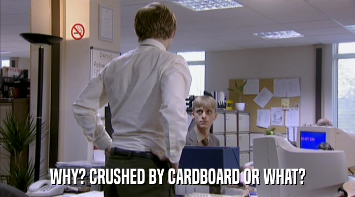 WHY? CRUSHED BY CARDBOARD OR WHAT?  
