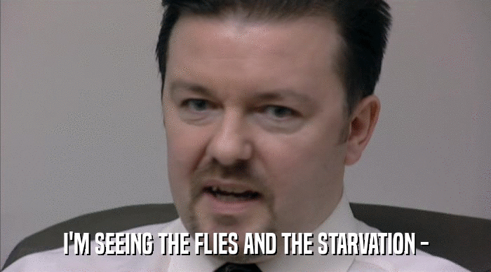 I'M SEEING THE FLIES AND THE STARVATION -  
