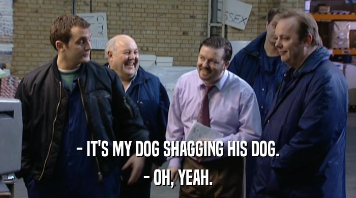 - IT'S MY DOG SHAGGING HIS DOG. - OH, YEAH. 