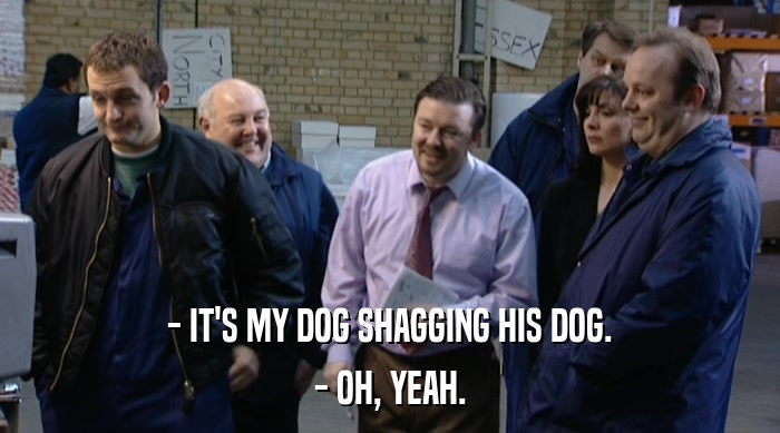 - IT'S MY DOG SHAGGING HIS DOG.
 - OH, YEAH. 