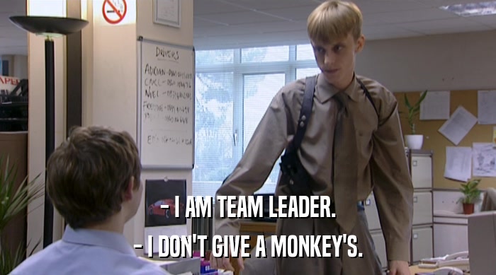 - I AM TEAM LEADER. - I DON'T GIVE A MONKEY'S. 
