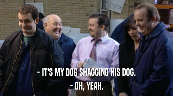 - IT'S MY DOG SHAGGING HIS DOG.
 - OH, YEAH. 