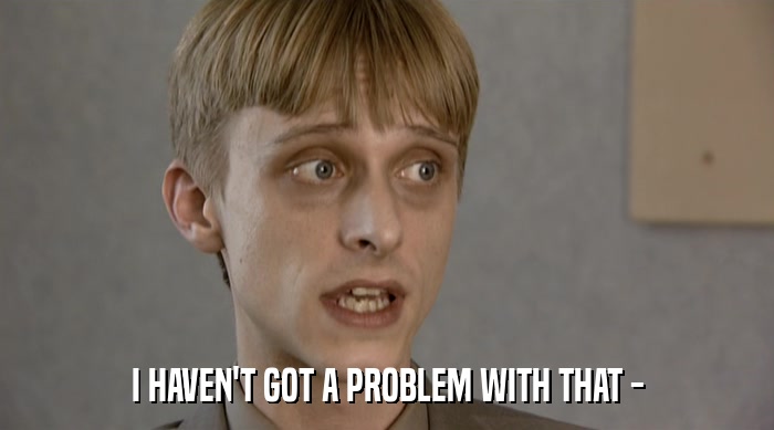 I HAVEN'T GOT A PROBLEM WITH THAT -  