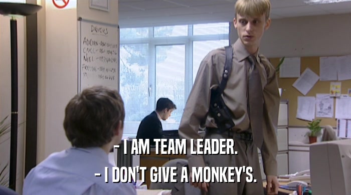- I AM TEAM LEADER.
 - I DON'T GIVE A MONKEY'S. 
