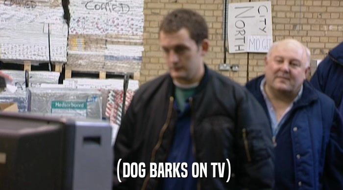 (DOG BARKS ON TV)  
