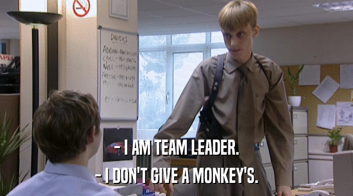 - I AM TEAM LEADER.
 - I DON'T GIVE A MONKEY'S. 