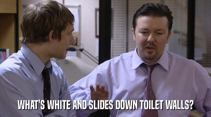 WHAT'S WHITE AND SLIDES DOWN TOILET WALLS?  