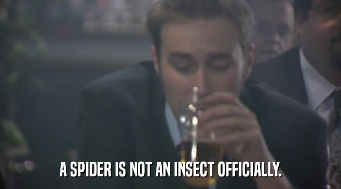 A SPIDER IS NOT AN INSECT OFFICIALLY.  