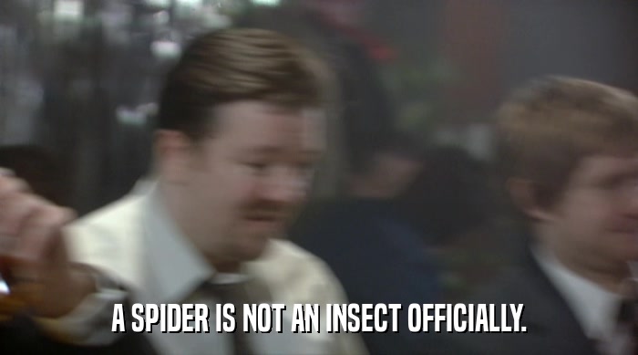 A SPIDER IS NOT AN INSECT OFFICIALLY.  
