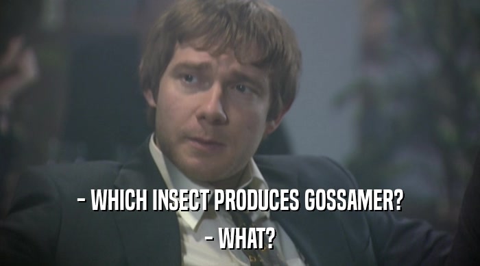 - WHICH INSECT PRODUCES GOSSAMER? - WHAT? 