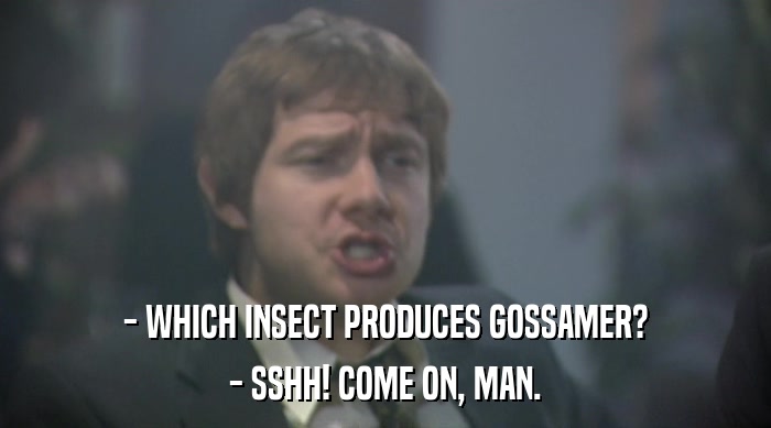 - WHICH INSECT PRODUCES GOSSAMER?
 - SSHH! COME ON, MAN. 