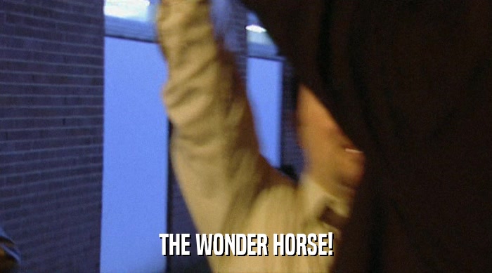THE WONDER HORSE!  