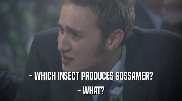 - WHICH INSECT PRODUCES GOSSAMER?
 - WHAT? 