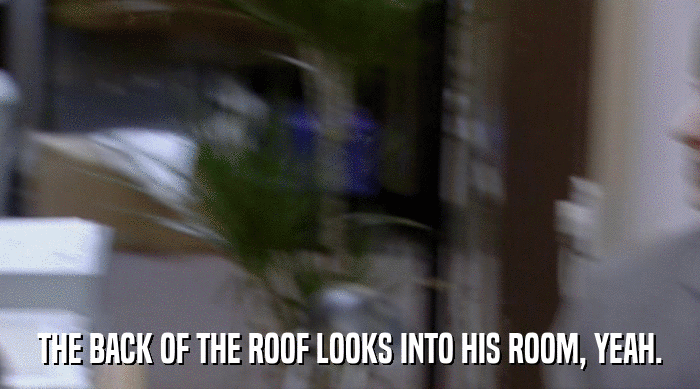THE BACK OF THE ROOF LOOKS INTO HIS ROOM, YEAH.  