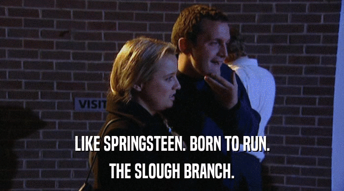 LIKE SPRINGSTEEN. BORN TO RUN. THE SLOUGH BRANCH. 