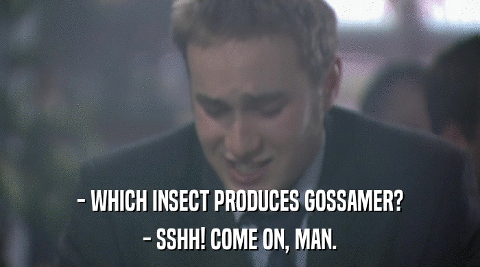 - WHICH INSECT PRODUCES GOSSAMER?
 - SSHH! COME ON, MAN. 