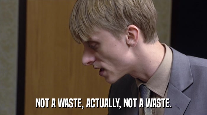 NOT A WASTE, ACTUALLY, NOT A WASTE.  