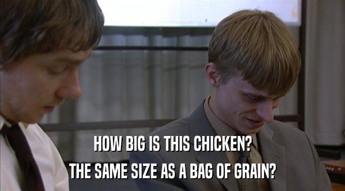 HOW BIG IS THIS CHICKEN? THE SAME SIZE AS A BAG OF GRAIN? 