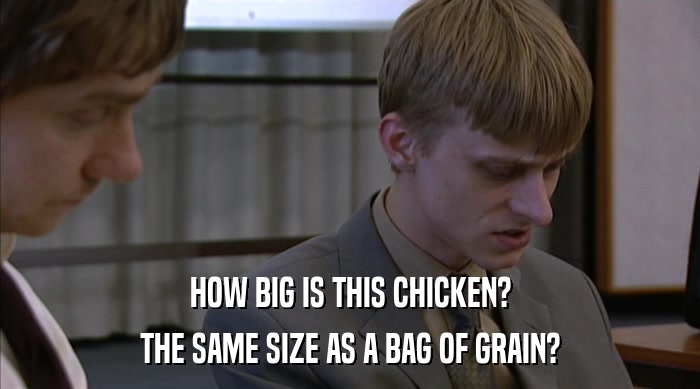 HOW BIG IS THIS CHICKEN? THE SAME SIZE AS A BAG OF GRAIN? 