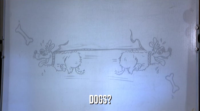 DOGS?  