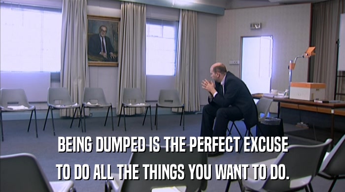 BEING DUMPED IS THE PERFECT EXCUSE TO DO ALL THE THINGS YOU WANT TO DO. 