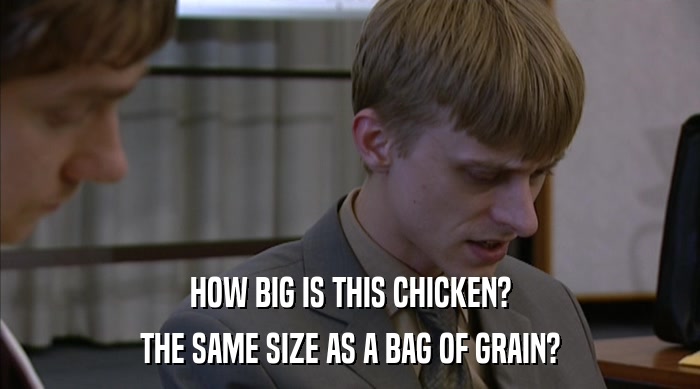 HOW BIG IS THIS CHICKEN? THE SAME SIZE AS A BAG OF GRAIN? 