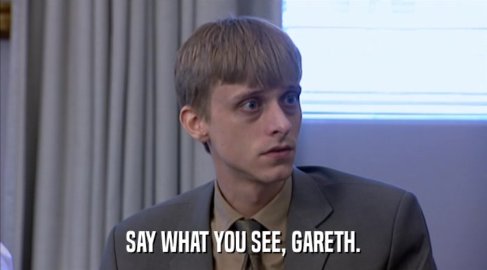 SAY WHAT YOU SEE, GARETH.  