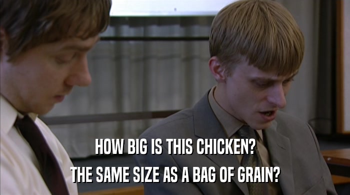 HOW BIG IS THIS CHICKEN? THE SAME SIZE AS A BAG OF GRAIN? 