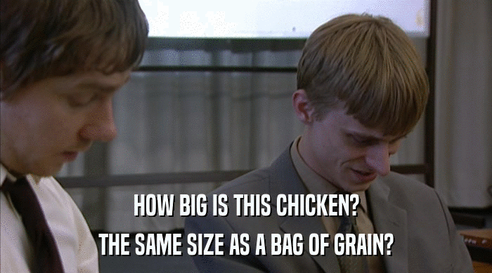 HOW BIG IS THIS CHICKEN? THE SAME SIZE AS A BAG OF GRAIN? 