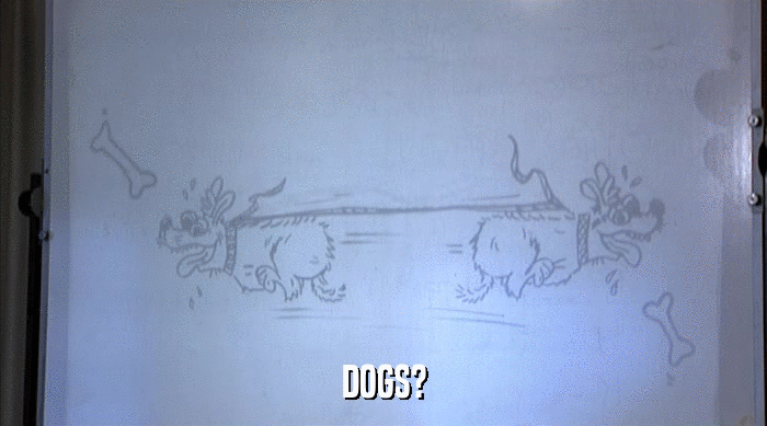 DOGS?  