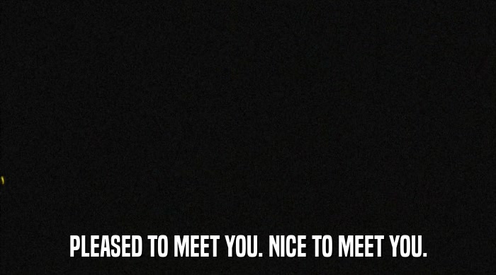 PLEASED TO MEET YOU. NICE TO MEET YOU.  