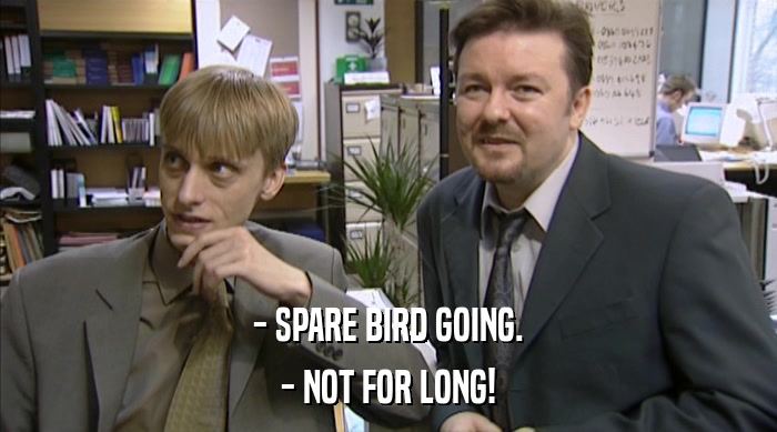 - SPARE BIRD GOING.
 - NOT FOR LONG! 