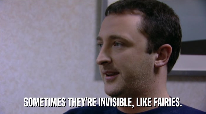SOMETIMES THEY'RE INVISIBLE, LIKE FAIRIES.  