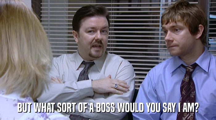BUT WHAT SORT OF A BOSS WOULD YOU SAY I AM?  